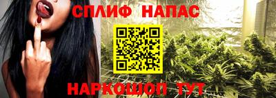 шишки Партизанск