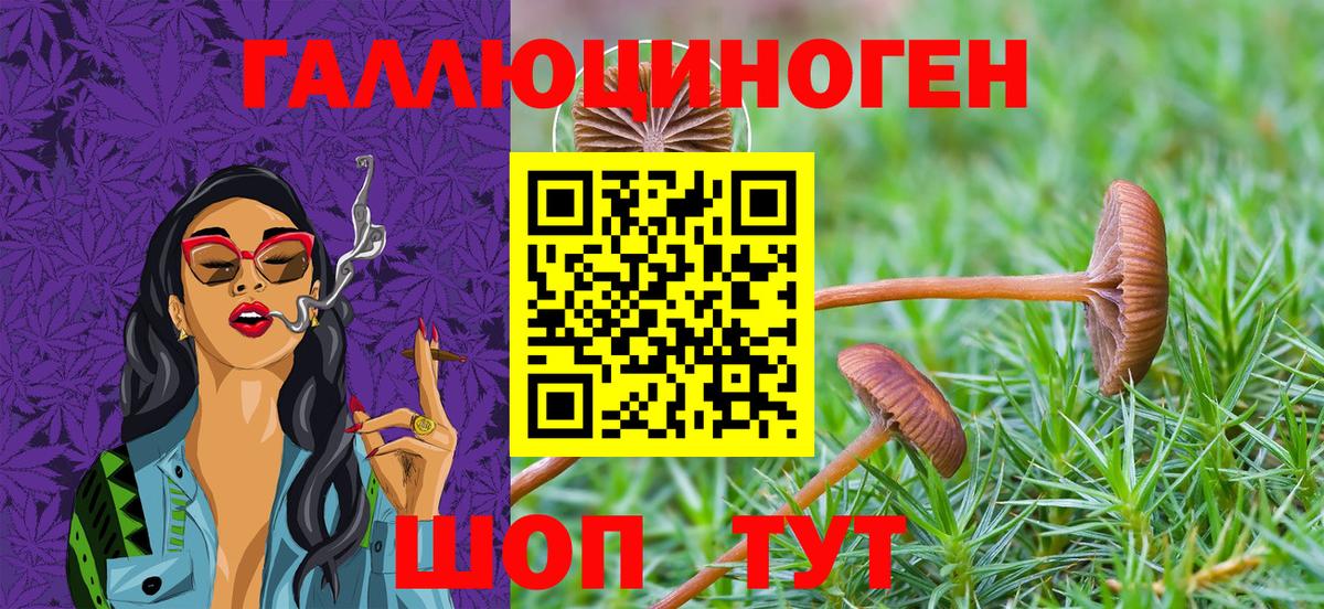 Серов  Псилоцибиновые грибы мицелий  Вход с VPN 